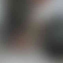 Ankkurivinssin hiilet huollossa