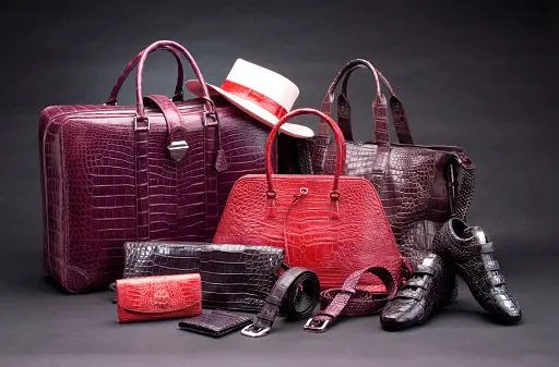 crocodile-leather-products.webp_b=1&s=170667a&w=0&k=20&c=9VO0xF9Uk5R-HfOoKzdjTs8wgnNMTqqlf