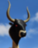 Bull Logo.jpg