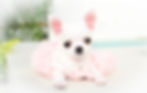 Miniatura: Baby Siena