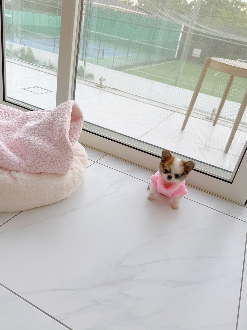 Miniatura: Mini Celine