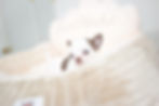 Miniatura: Hershey