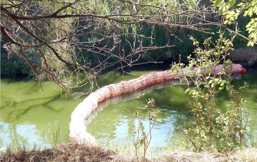 Biobarda de contención de residuos flotantes instalada sobre el Arroyo Cululucito