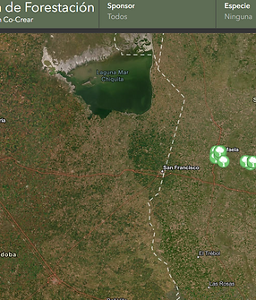 Captura de pantalla (65).png