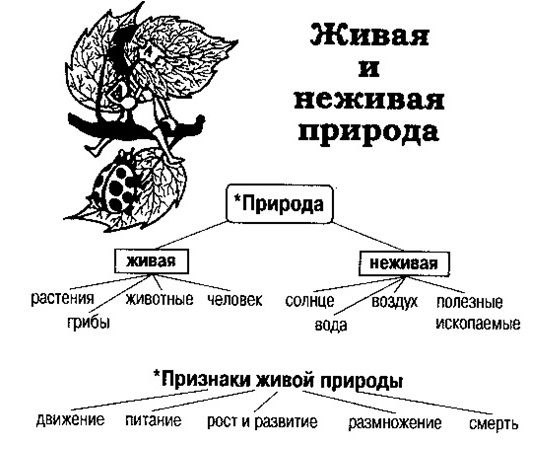 zhivaja-i-nezh_02
