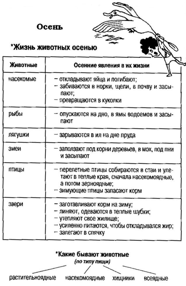 zhivotnye-osen-001