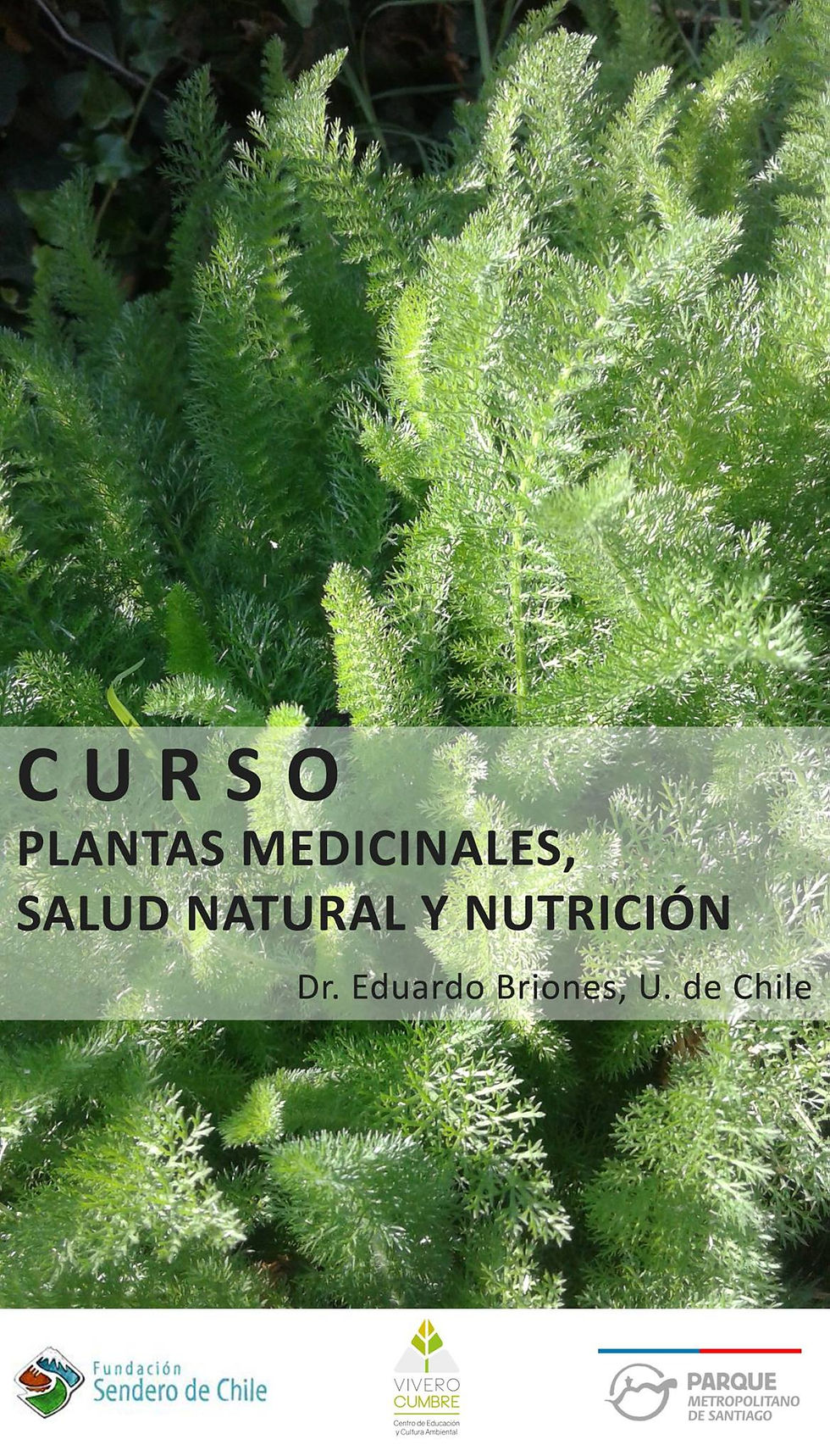 Curso Plantas medicinales