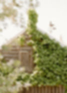 Restorative Healing Retreat