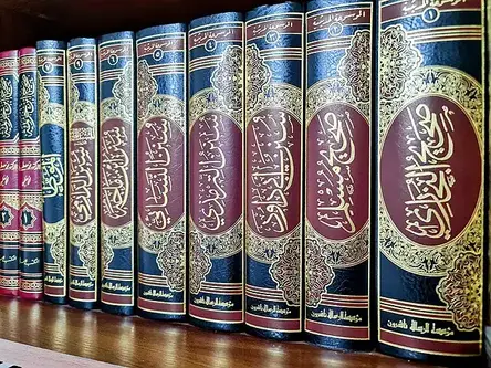 Overview of the Six Canonical Collections 