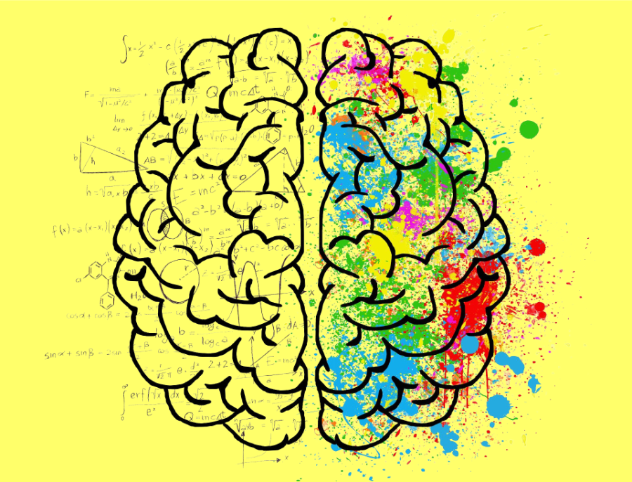 Ambos hemisferios del cerebro: izquierdo y derecho. Colores y fórmulas matemáticas en cada lado respectivamente.