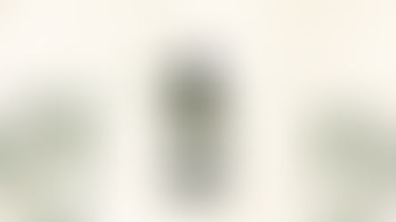 DELİCE ORGANİK SOĞUK SIKIM NATÜREL SIZMA ZEYTİNYAĞI ŞİMDİ SATIŞTA