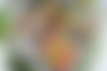 Balığın Lezzetine Doyulmaz Üç Tonu