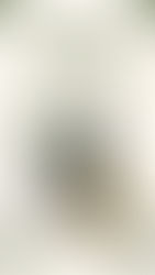 Zeytinyağı İçmek ya da İçmemek