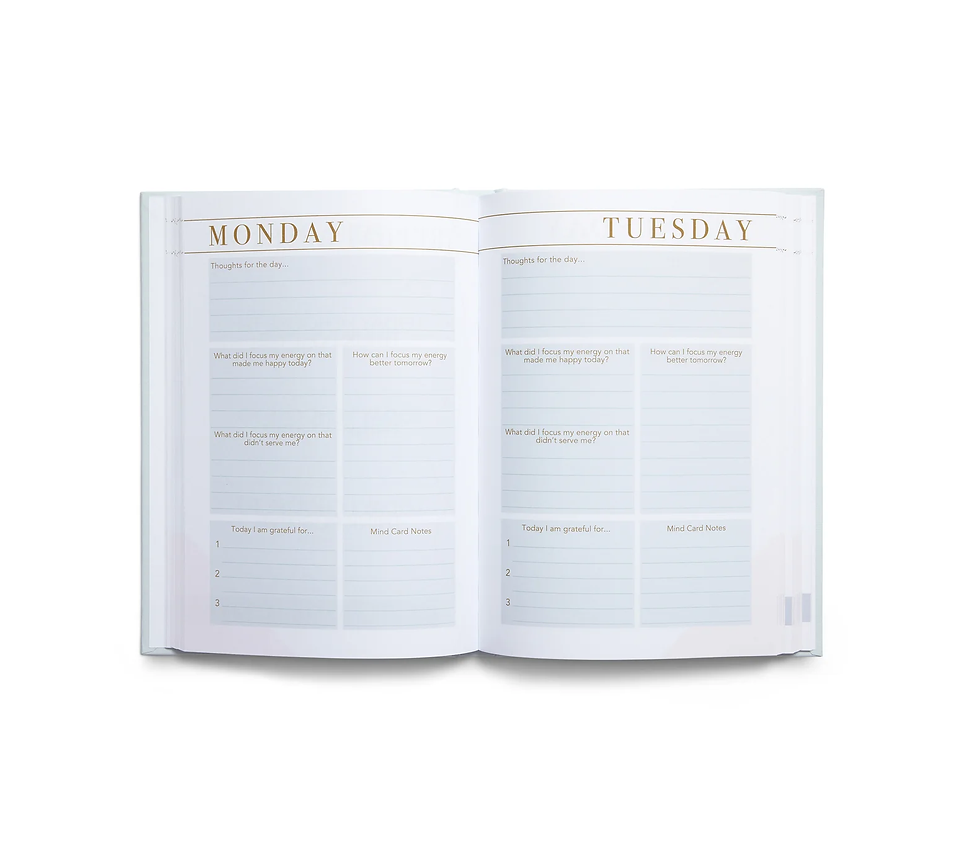 Thumbnail: LSW London Journal Bundle with free LSW Tote Bag