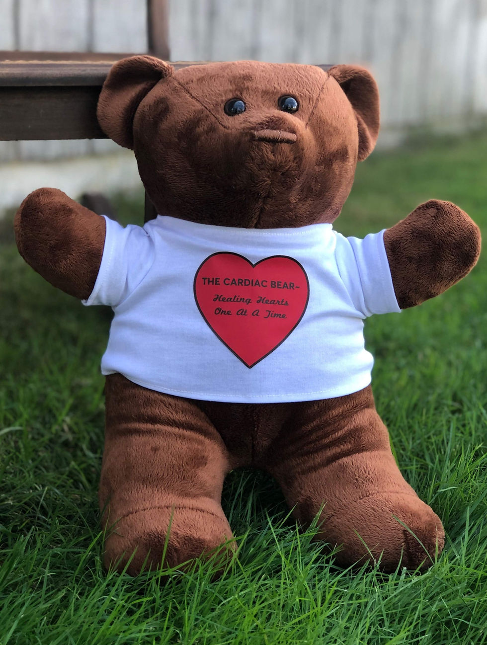 Thumbnail: Close up view of the Cardiac Heart Surgery Bear