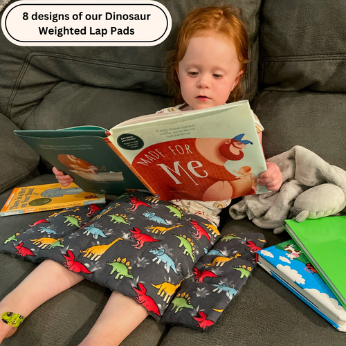 Weighted Lap Blanket For Kids,Dinosaurs Weighted Lap Pad, Autism, ADHD