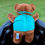 Thumbnail: The back of the bear.