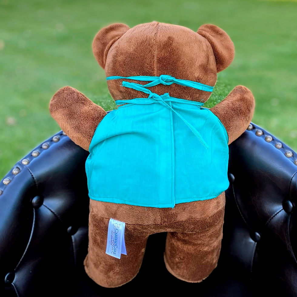Thumbnail: The back of the bear.