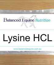 Lysine450x450-350x420.jpg