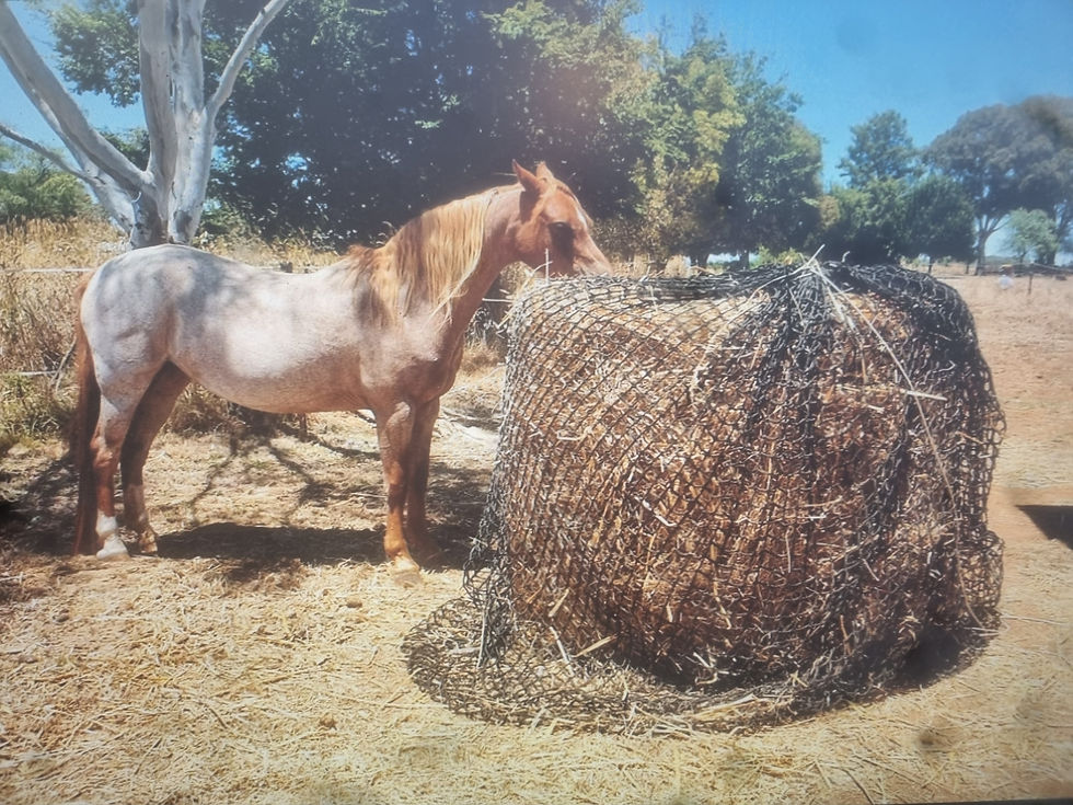Thumbnail: Gutzbusta Knotless Hay Nets - 4'x4' Round Bale