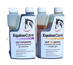 equine care duo.png