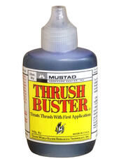 phpThumb_generated_thumbnail.jpeg