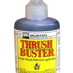 phpThumb_generated_thumbnail.jpeg