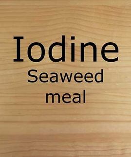 seaweed-meal450x450-350x420.jpg
