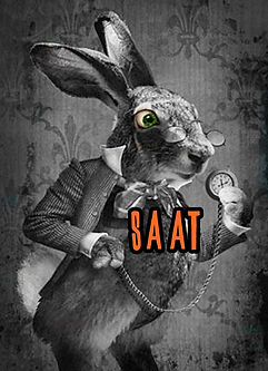 Vatkalı Güve Hakkında