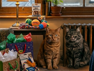 108 - She Spent Our Christmas Money on Dog Presents. We Are in the Shed.