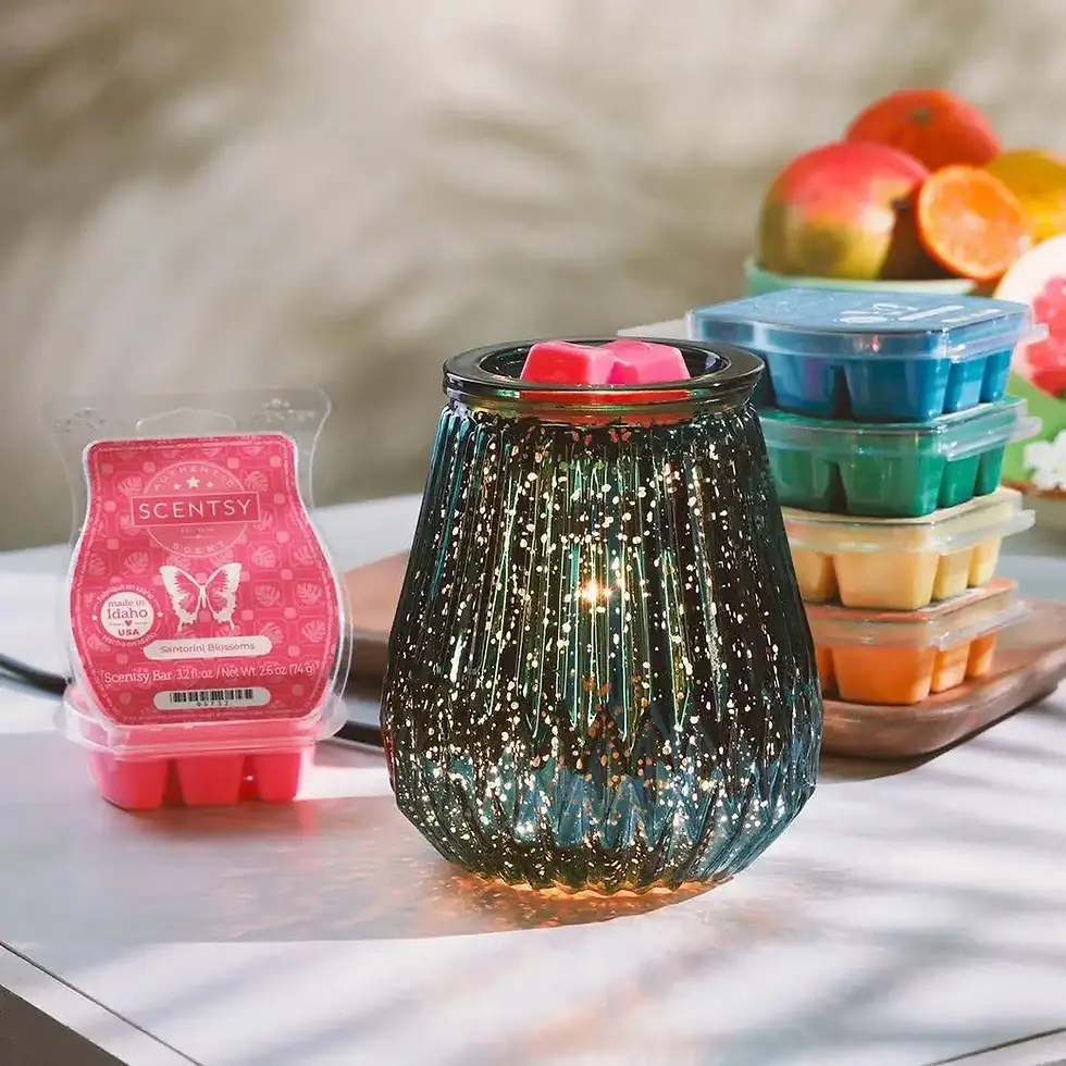 Dani'S Scentsy