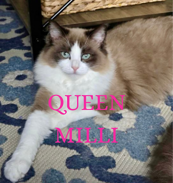 Milli.PNG