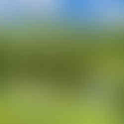 voyage-peche-mouche-bosnie-ribnik