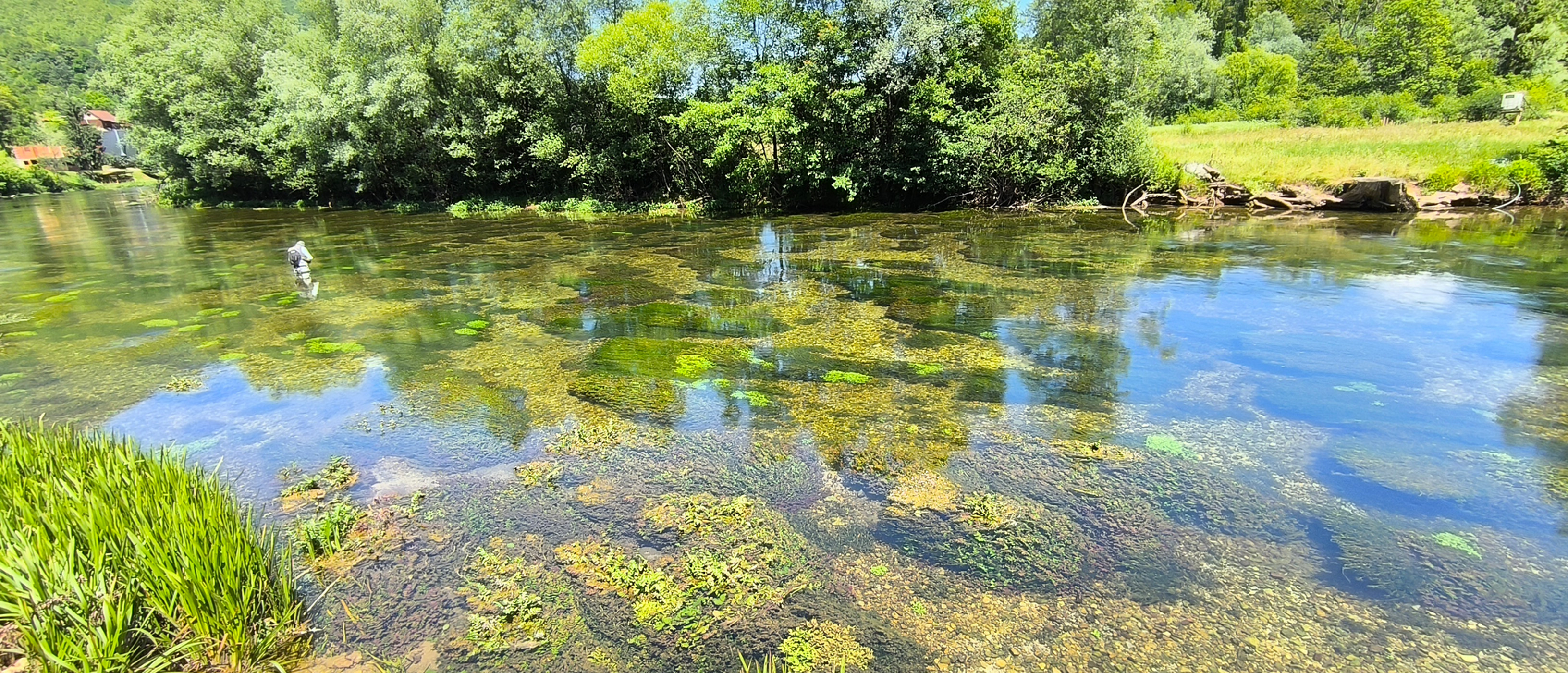 Rivière Ribnik en Bosnie, célèbre pour la pêche à la mouche