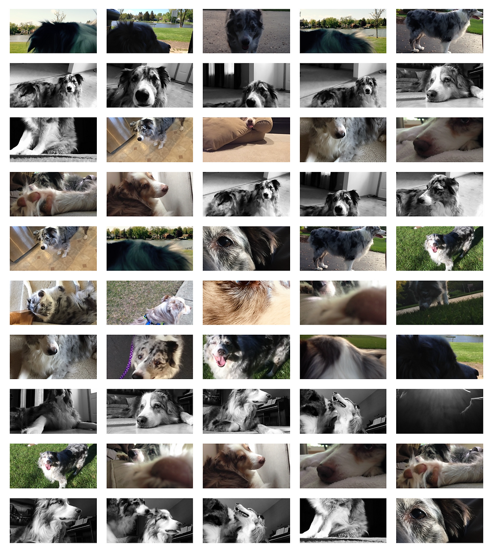 BeFunky-collage (3).png