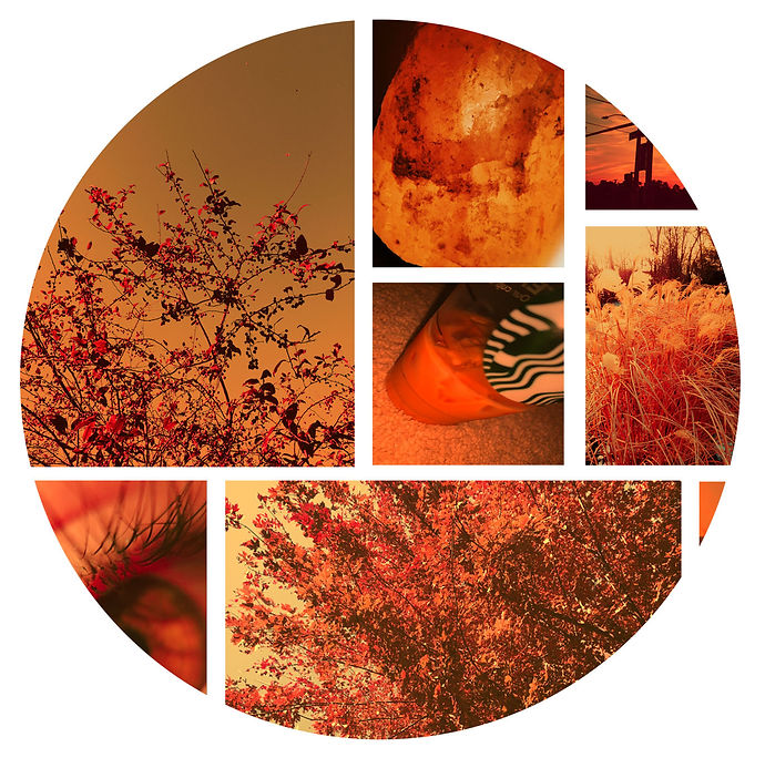 Circle Color Match.jpg