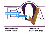 INTERNATIONAL LICENSE