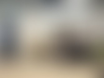 Ajaccio : retour sur la 4ᵉ journée d’échanges du Réseau DMC sur les déplacements médicaux