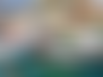 PÊCHE À LA LANGOUSTE FERMÉE EN CORSE À COMPTER DU 1ER OCTOBRE