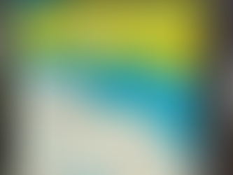 Transports : la mobilité ajaccienne prend de la hauteur avec Angelo