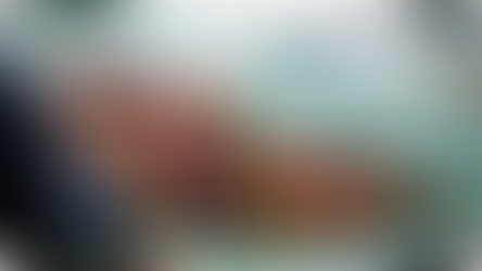 70 000 oursins relâchés à Santa-Severa pour régénérer les fonds marins