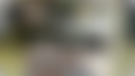 Les Restos du Cœur lancent leur grande collecte en Corse-du-Sud