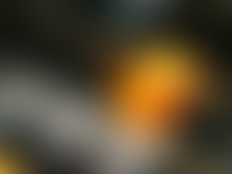 La Corse, département le plus sûr face aux cambriolages