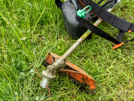 Calcatoggio accélère sur le débroussaillement pour prévenir les incendies