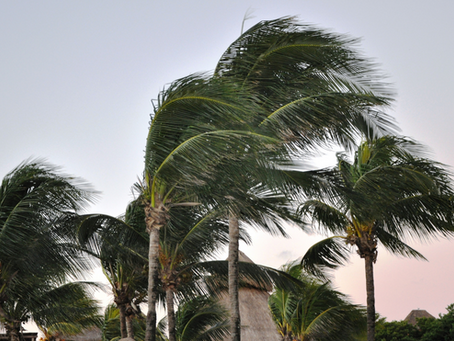 Tempête Benjamin : la Corse en vigilance orange vent, des rafales jusqu’à 170 km/h attendues jeudi