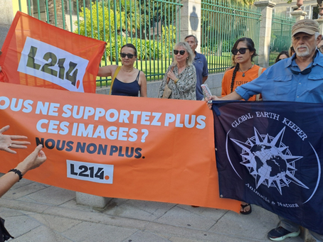 L214 REMET 75 000 SIGNATURES POUR LA FERMETURE DE L’ABATTOIR DE PORTO-VECCHIO
