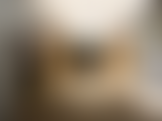 Grève au collège Giraud à Bastia : l’établissement fermé ce lundi