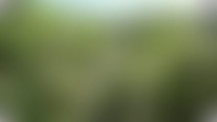 Assassinat d’Alain Orsoni : le pas de tir identifié à Vero