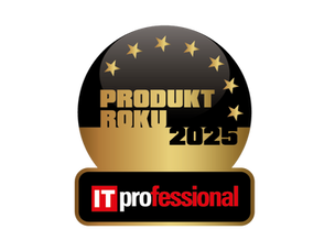 Produkt Roku 2025 IT Professional