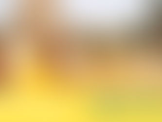 Demystifying Buddhism